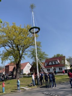 Maibaumaufstellen